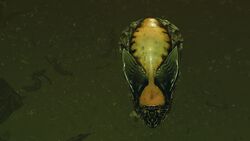 Thargoid Bio-Storage Capsule Front 1.jpg