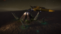 Barnacles and a Python