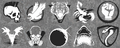 Thumbnail for version as of 06:37, 30 October 2026
