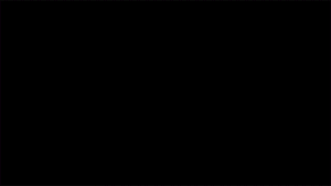 Elite Combat Animation.gif